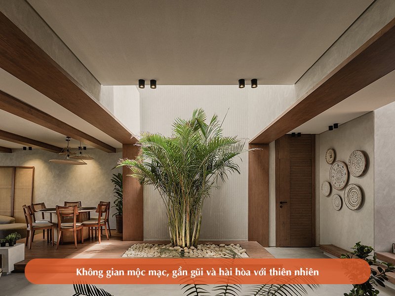 Phong cách thiết kế Organic